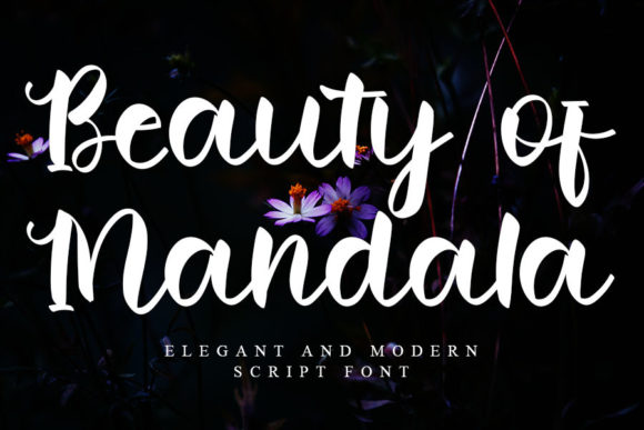 Beauty of Mandala Font Review