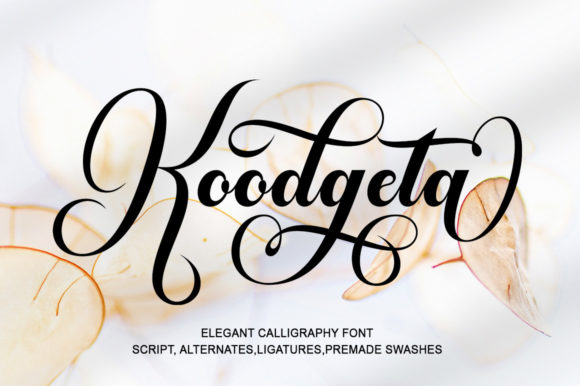 Koodgeta: A Script Font That Elevates Editorial Design