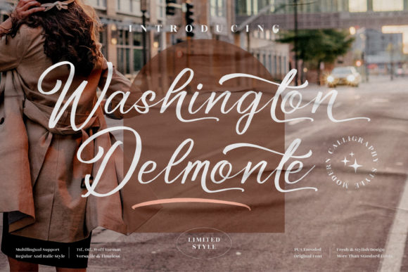 Washington Delmonte: A Graceful Script Font